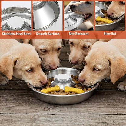 4 Pcs Stainless Steel Puppy Weaning Bowls, Cat Bowls for Food Water, Multiple Puppies Feeder Whelping Dishes, Litter Feeding Station Pans for Small Dogs Cats Eating at Same Time