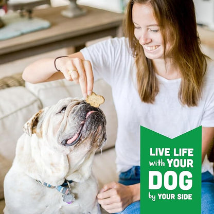 Cloud Star Wag More Bark Less - Dog Treats - Crunchy Biscuits - Grain Free Chicken & Sweet Potato - 14 oz Box
