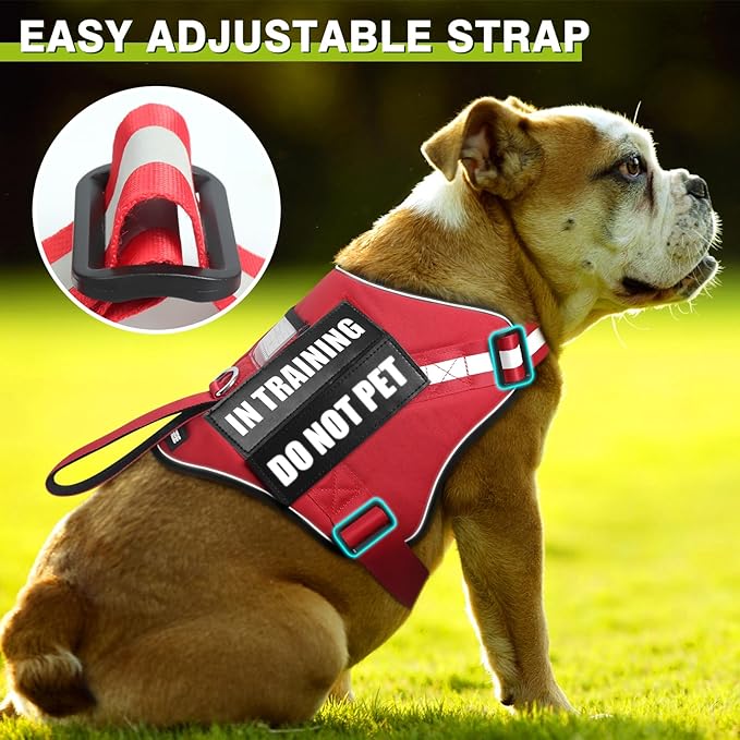 Service Dog Harness and Leash Set, Training Dog Vest with 10 Dog Patches, Emotional Support Therapy Dog Vest Harness for Small Medium Large and Extra Large Dogs(Red, M)