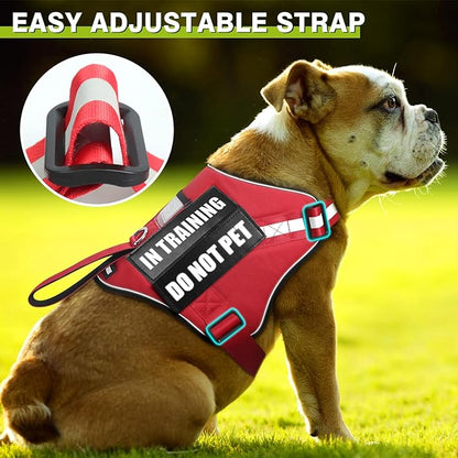 Service Dog Harness and Leash Set, Training Dog Vest with 10 Dog Patches, Emotional Support Therapy Dog Vest Harness for Small Medium Large and Extra Large Dogs(Red, M)