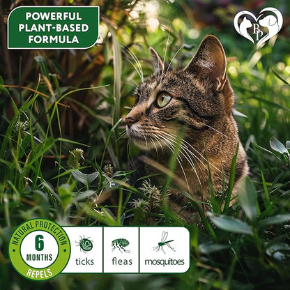 Natural Flea & Tick Collar for Cats - 6 Months Control of Best Prevention & Safe Treatment - Anti Fleas and Ticks Essential Oil Repellent (1 Pack)
