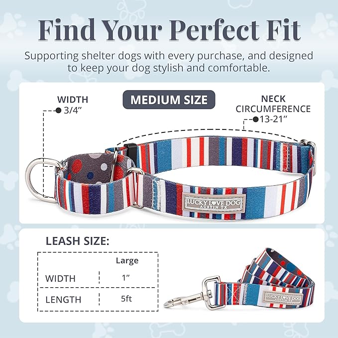 Lucky Love Dog Martingale Dog Collar & Leash - Adjustable, No-Slip, Durable, Comfortable, Soft Webbing, & Stylish Patterned Dog Collar & Leash Set for Male and Female Dogs - Linus Combo, Medium