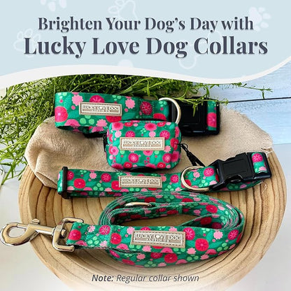 Lucky Love Dog Martingale Dog Collar - Adjustable, No-Slip, Durable, & Soft Webbing Collar for Male and Female Dogs Ideal for Training & Walking - Penny, Large