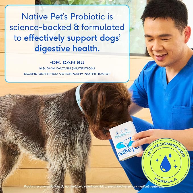 Native Pet Probiotics for Dogs – Dog Probiotic Powder for Gut & Digestive Health, Vet-Formulated 6B CFUs Dog-Specific Probiotic Strains, Supports Stool Quality & Diet Transitions – 240 Scoops