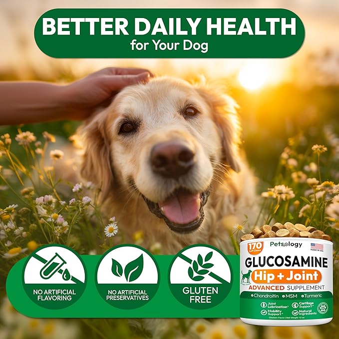Glucosamine for Dogs - Hip and Joint Supplement for Dogs - 170 Mobility Chews - Glucosamine Chondroitin - MSM - Turmeric - Joint Pain Relief - Advanced Support for Dog Health - Made in USA