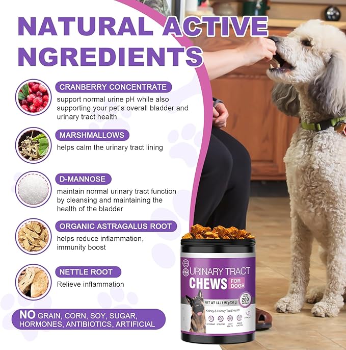 Dog Uti Treatment Cranberry Supplement for Dogs 200 Chews Urinary Tract Medicine Bladder Control Pills Kidney Support Cranberrys Extract Bites Uti Infection Treats Incontinence Remedy for Dogs Chicken