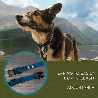 Wilderdog Waterproof Dog Collar - Repels Water & Dirt - Small 11"-15" - Pacific Blue