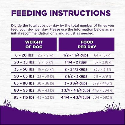 Wellness Complete Health Dry Dog Food, Wholesome Grains, Natural, Whitefish & Sweet Potato Recipe, (30-Pound Bag)
