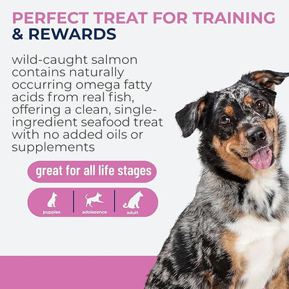 Momentum Carnivore Nutrition Freeze-Dried Wild-Caught Salmon Dog Treats & Cat Treats – Single-Ingredient, High-Protein, Grain-Free, Natural Source of Omega-3s – Made in USA – 3 oz Bag