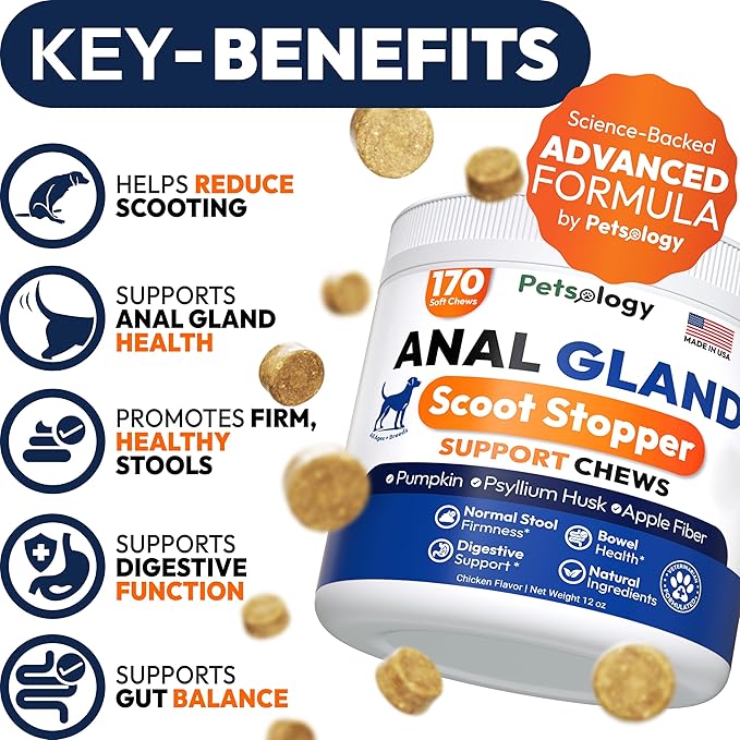 Anal Gland Support Chews for Dogs - 170 Ct - Scoot Treatment - Dog Anal Gland Supplement - Pumpkin, Psyllium Husk, Fiber - Supports Gut Health & Stool Quality - Digestive Enzymes - Made in USA