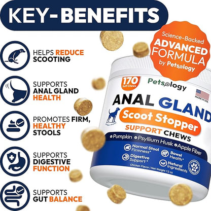 Anal Gland Support Chews for Dogs - 170 Ct - Scoot Treatment - Dog Anal Gland Supplement - Pumpkin, Psyllium Husk, Fiber - Supports Gut Health & Stool Quality - Digestive Enzymes - Made in USA