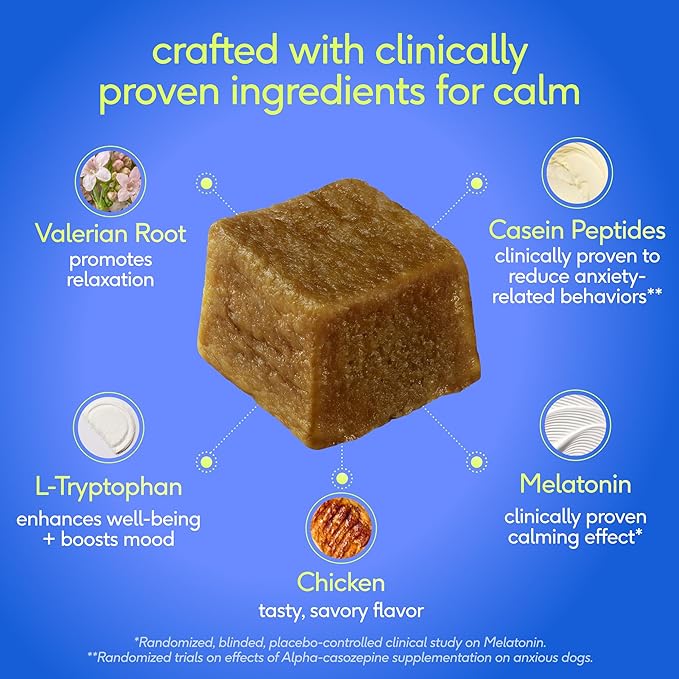 Native Pet Advanced Calming Chews for Dogs Large Breed - Anxiety Relief, Stress, Separation & Sleep Support with Melatonin for Dogs, Hydrolyzed Casein, Valerian Root & L-Tryptophan - 30 Days Supply