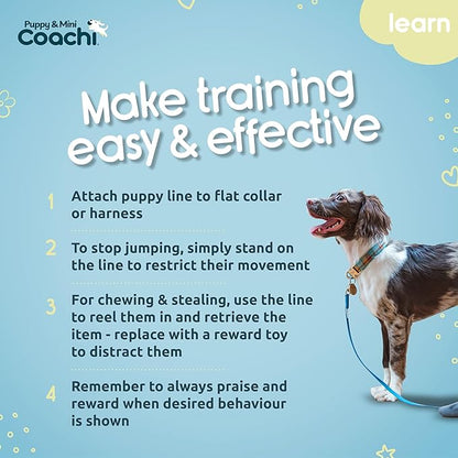 Coachi Puppy & Mini Training Line 2.5m - Toilet Training, Jumping Up, Running Off, Place Avoidance, Chewing, House Manners, Lightweight Indoor House Lead. Suitable for Puppies & Newly Acquired Dogs