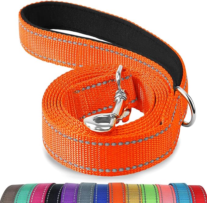 Joytale Dog Leash, 4 FT Double-Sided Reflective, Padded Handle Nylon Heavy Duty Leashes for Small Dogs Walking, Orange