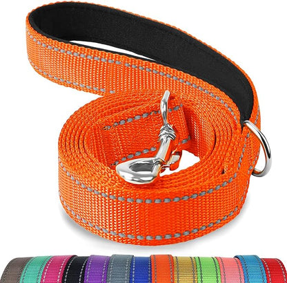 Joytale Dog Leash, 4 FT Double-Sided Reflective, Padded Handle Nylon Heavy Duty Leashes for Small Dogs Walking, Orange