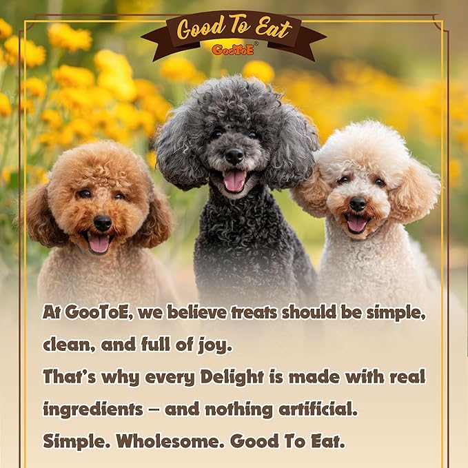 Gootoe Turkey Tendons for Dogs – All-Natural, Hypoallergenic Dog Treats, Rawhide Alternative, Long Lasting Puppy Chews, Healthy Dog Treats for Small Breeds, Rope (S), 6 Count Pack