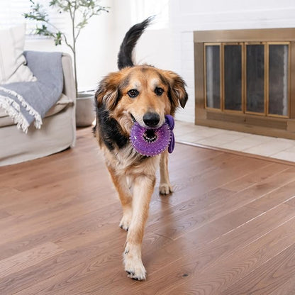 2-in-1 Dental Dog Chew Wheel Ring & Rope Tug Toy for Teething Puppies & Dogs, Mint-Scented & Teeth-Cleaning, 9-Inch, Purple