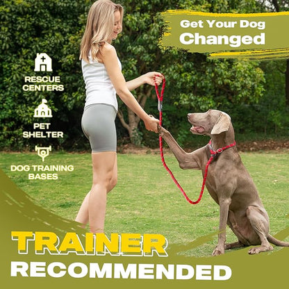 Fida Durable Slip Lead Dog Leash, 6 FT x 3/8" Heavy Duty Comfortable Strong Rope Slip Lead for Small Dogs and Puppies, No Pull Pet Training Leash with Highly Reflective (3/8", Red)