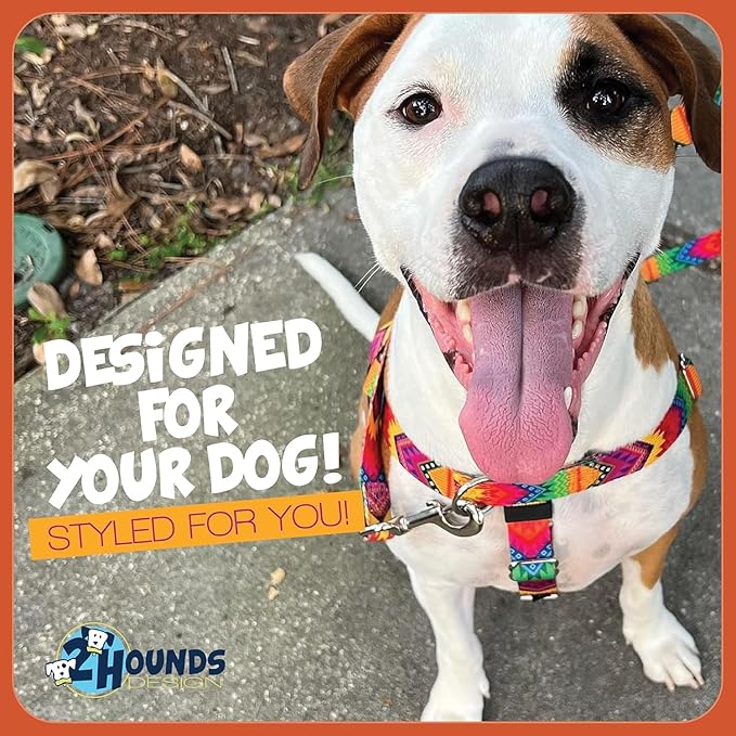 2 Hounds Design Freedom No Pull Dog Harness, Adjustable Harness, Easy Walking & Comfortable Control, Fits Small, Medium & Large Dogs, Solid Colors, Made in USA, 1" MD, Black