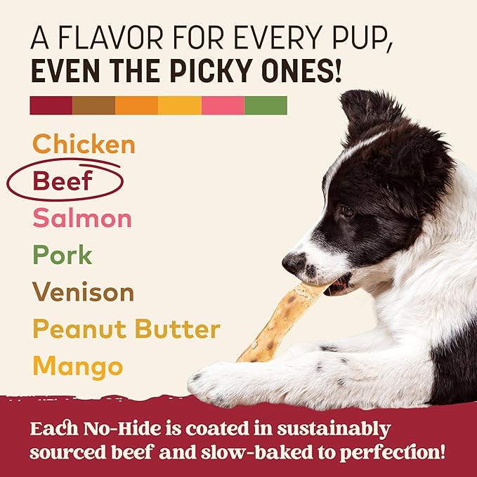 Earth Animal No Hide Strips - Natural Rawhide Free Dog Chew Strips, Beef - 16 Count