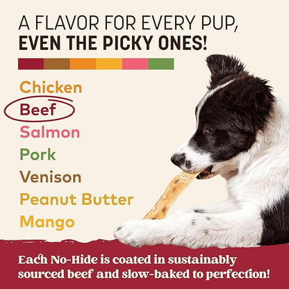 Earth Animal No Hide Strips - Natural Rawhide Free Dog Chew Strips, Beef - 16 Count