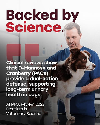 Dog UTI Chews – Cranberry Supplement for Dogs – Urinary Tract Support & Bladder Control – Cranberry PAC + D-Mannose, Marshmallow Root, Quercetin + Probiotics – 140 Chews