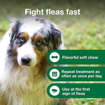 Advantus Dogs Fast Acting Oral Flea Treatment Soft Chewable 23 - 110 lbs. | 7 ct.