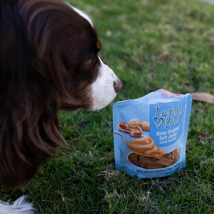 Loving Pets Soft Jerky Dog Treats – Real USA-Sourced Meat Dog Snacks for Training, Puppies & Everyday Reward – Soft, Chewy Dog Treats for Small, Medium & Large Dogs – Wheat & Corn Free