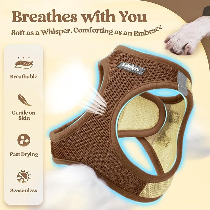 rabbitgoo Dog Harness Small Sized and Leash Set, Step in Soft Light Puppy Vest, Breathable Mesh Pet Harness, Reflective for Safe Easy Walking, Brown & Beige M