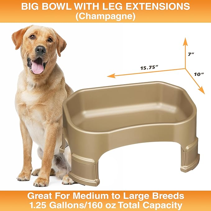 Neater Pet Brands Extra Large Water Bowl for Dogs, Elevated Outdoor Dog Water Bowl (1.25 Gallon XL Capacity), Big Trough Style Food Dish for Indoors or Outside, No Spill Large Dog Bowls, Champagne