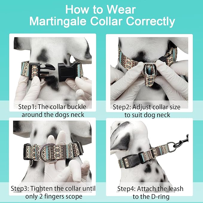 Martingale Dog Collar with Buckle Tribal Design Adjustable Escape Proof Pet Collars (Aztec, Medium)