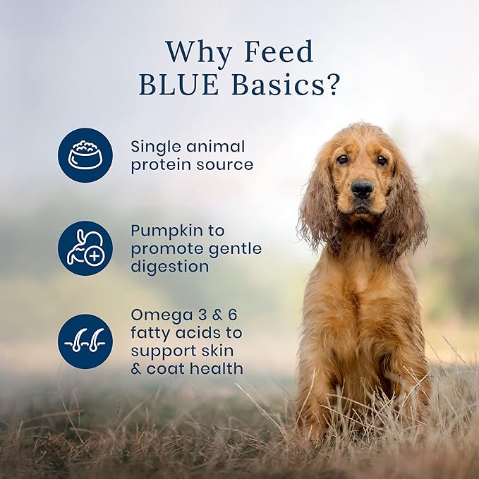 Blue Buffalo Basics Skin & Stomach Care Natural Wet Dog Food Topper, Salmon in Gravy 2.5oz Pouch (12 Pack)