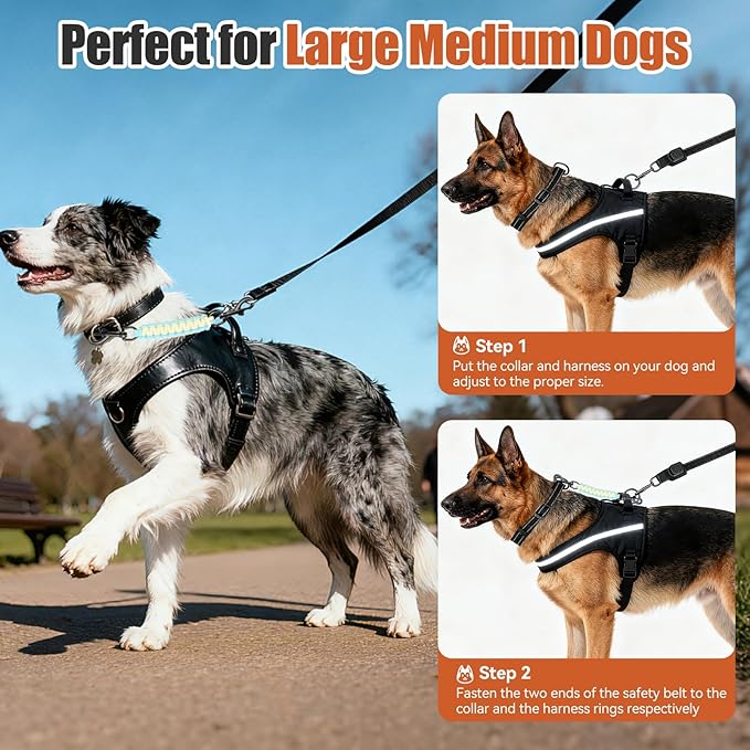 Dog Collar Safety Clip with Dual Clasps,Handmade Backup Safety Strap for Dog Harness, Collars and No Pull Harness Connectors (Light Yellow & Sky Blue)