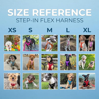Best Pet Supplies Voyager Adjustable Step-In Flex Breathable Mesh Dog Harness for Small Medium Large Dogs (Royal Blue), S