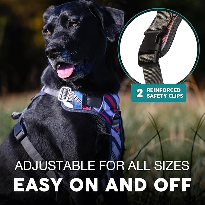 Embark Adventure XL Dog Harness – No-Pull, Reflective Trim, Military-Grade Nylon, Dual Leash Clips, Gel-Lined Handle for Extra Large Dogs