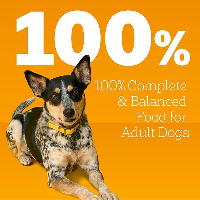 Pedigree Chopped Ground Dinner Weight Management Wet Dog Food, Canned Dog Food Chicken & Rice Dinner in Meaty Juices, 13.2 oz. Cans (12 Count, Pack of 1)