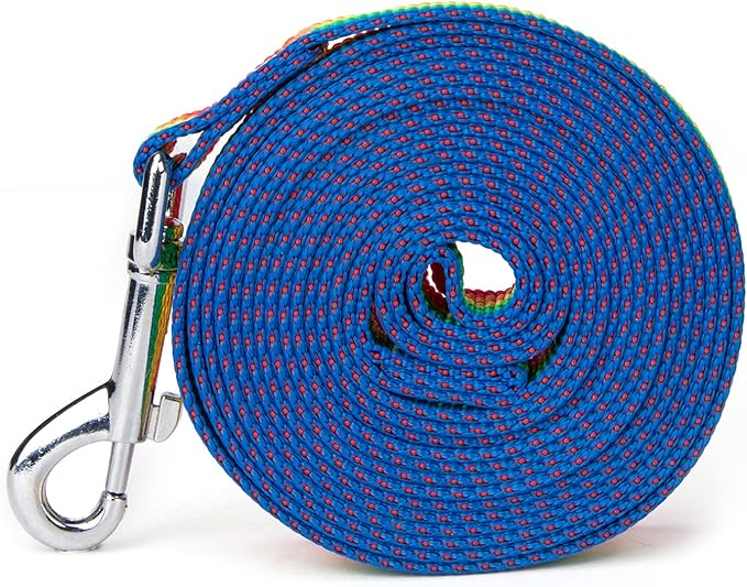 Strong Durable Nylon Dog Training Leash, 1 Inch Wide Traction Rope, 6 ft 10ft 15ft Long, for Small and Medium Dog (Rainbow, 15 Feet)