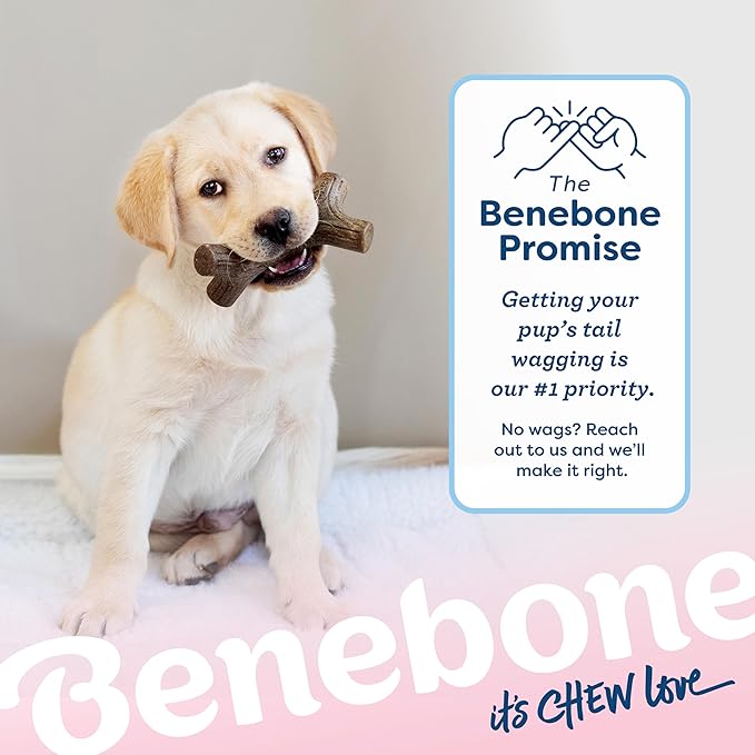Benebone Puppy 4-Pack Dog Chew Toys, Made in USA, 30lbs and Under, for Modest Chewers