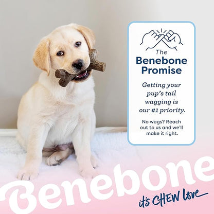 Benebone Puppy 4-Pack Dog Chew Toys, Made in USA, 30lbs and Under, for Modest Chewers