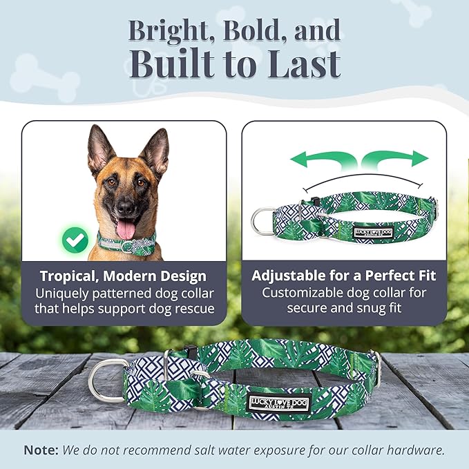 Lucky Love Dog Martingale Collar, Premium No Slip Martingale Collar for Large Boy Dogs, Great for Whippets, Greyhounds, and More (Large, Blue Laguna)