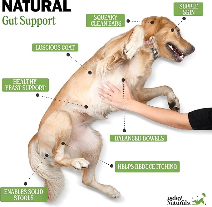 Deley Naturals Dog Probiotic Chews - 4 Billion CFU Probiotics for Dogs with Digestive Enzymes & Prebiotics - Grain Free Soft Chews for Gut Health & Digestive Support - 120 Chicken Chews Made in USA