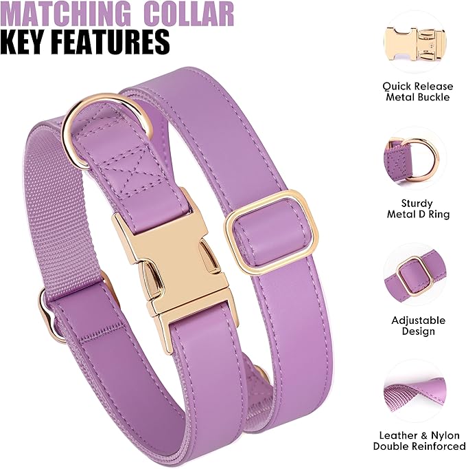 PET ARTIST Soft PU Leather Dog Collar and Leash Set, Bright & Stylish 5FT PU Leather Leash and Collar Set, Durable Pet Collars with Quick Release Metal Buckle for Small Dogs,Purple,S(9"-14")