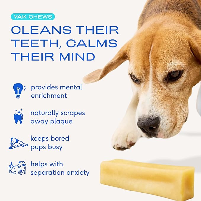 Native Pet Goat Milk Powder for Dogs (120 Scoops) & Yak Chew (3 Large Chews) - All Natural Dental Sticks Made with Yak Cheese & Organic Goat Milk to Support a Healthy Digestive System