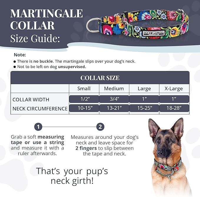 Lucky Love Dog Martingale Dog Collar - Adjustable, No-Slip, Durable, & Soft Webbing Collar for Male and Female Dogs Ideal for Training & Walking - Blackbird, Large