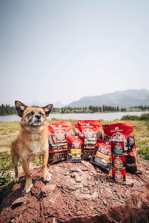Stella & Chewy's Wild Red Raw Blend Kibble - Premium Freeze-Dried Raw Coated Dog Food - Perfect For Picky Eaters - High Protein Grain Free with 6 Red Meat Sources - 21lb Bag