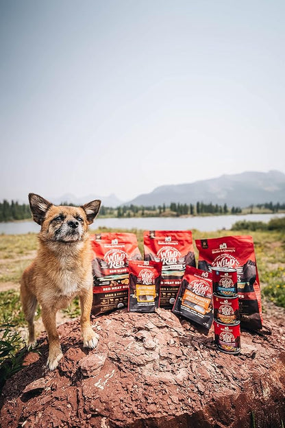 Stella & Chewy's Wild Red Raw Blend Kibble - Premium Freeze-Dried Raw Coated Dog Food - Perfect For Picky Eaters - High Protein Grain Free with 6 Red Meat Sources - 21lb Bag