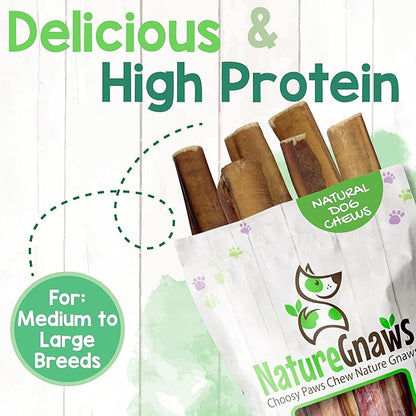 Nature Gnaws Extra Large Bully Sticks for Dogs 5-6" (6 Count) - Thick Long Lasting for Aggressive Chewers and Heavy Chewers - Natural Beef Dog Chew Bones