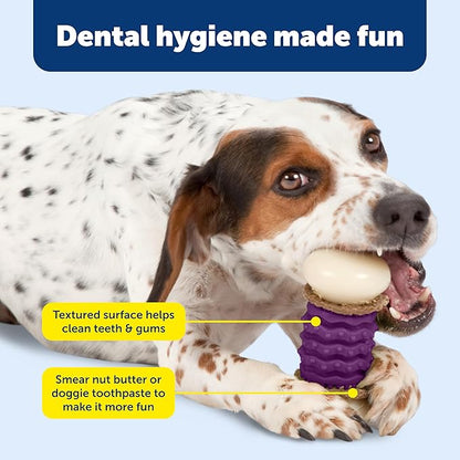 PetSafe Busy Buddy Nobbly Nubbly Treat Holding Dog Toy - Boredom Relief for Strong Chewers - Durable Nylon Build - Dishwasher Safe Design - Includes Treat Rings - Engaging Pet Puzzle - Purple - Small