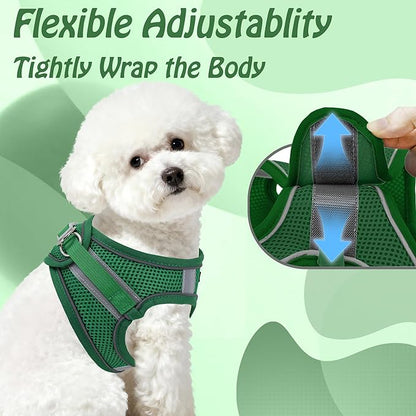 AIITLE Small Harness for Puppy with A Leash - Dog Vest Harness with Super Breathable Mesh, Reflective No-Pull Pet Harness for Outdoor Walking, Running for Small Dogs, Cats Green XXS
