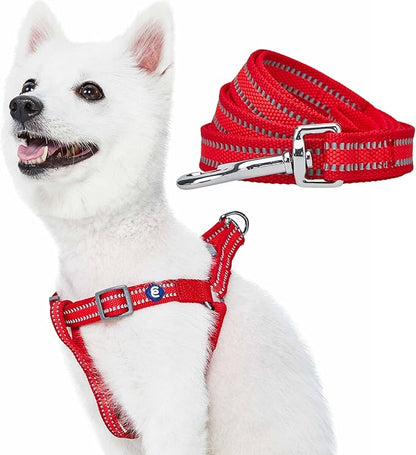 Blueberry Pet Essentials Reflective Back to Basics Matching Dog Harness and Leash Set, Rouge Red, Adjustable Harness with 5 ft Leash for Medium Dogs
